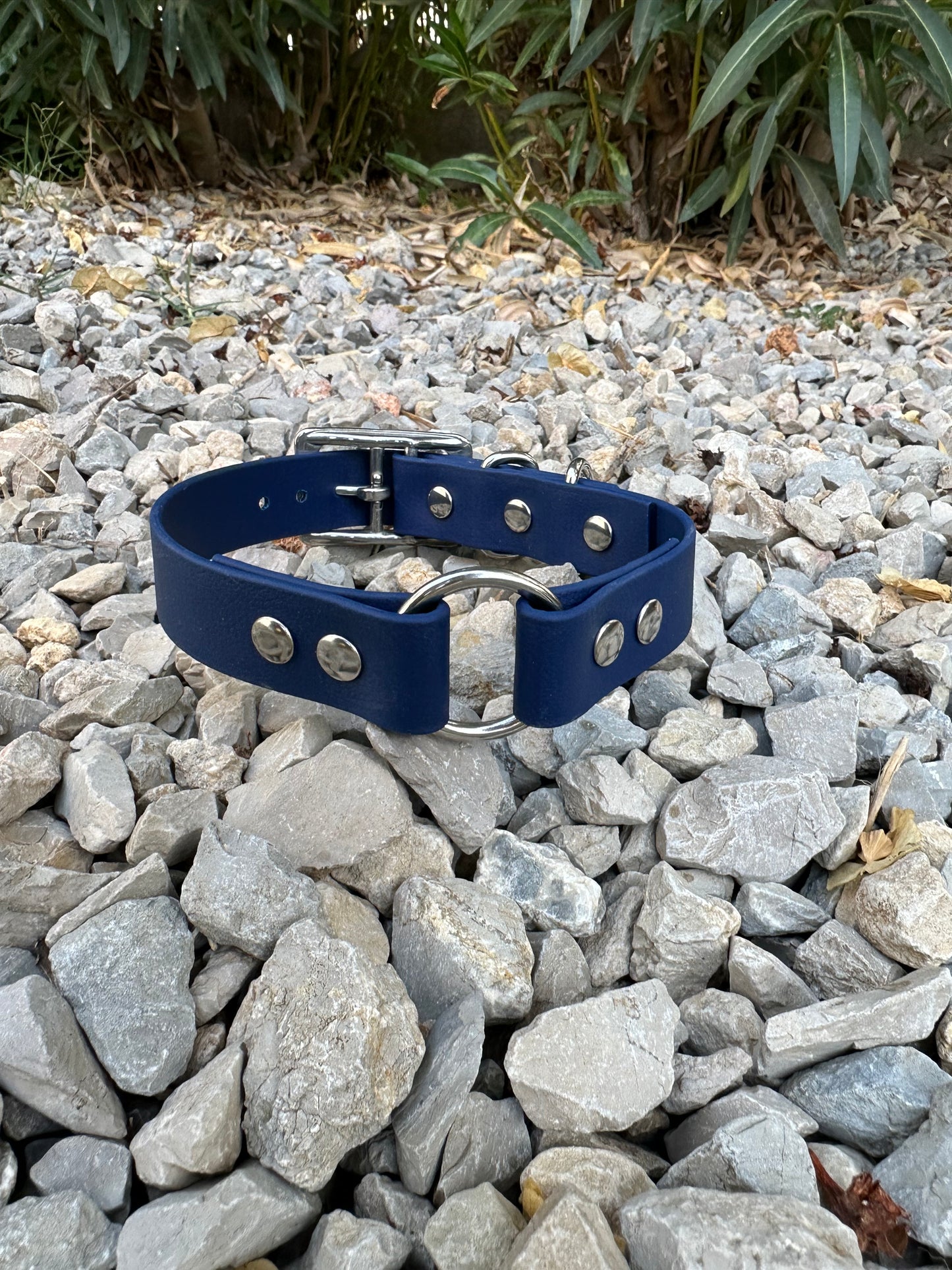 COLLIER ANNEAU